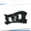 HNG002-0311