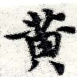 HNG006-0531