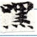 HNG008-0175