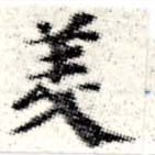 HNG008-0512