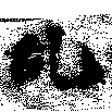 HNG009-0001
