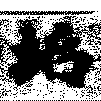 HNG009-0019