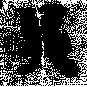HNG009-0064