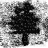 HNG009-0079