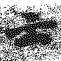 HNG009-0102