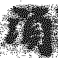 HNG009-0272