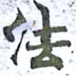 HNG014-1161