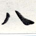 HNG016-0404