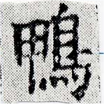 HNG024-0417