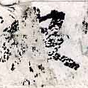 HNG038-0286