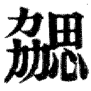 DJT-00907
