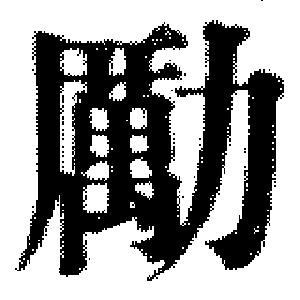 DJT-00911