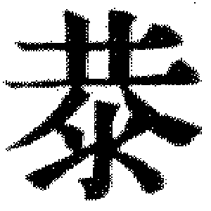 DJT-06155