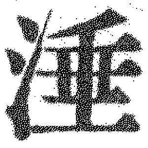 DJT-06224