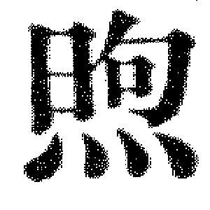 DJT-06917