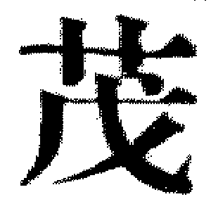 DJT-09807