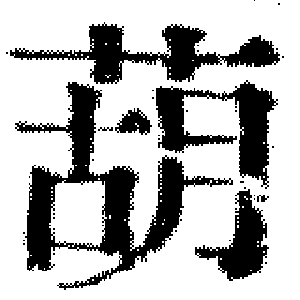 DJT-09984