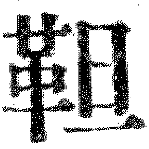 DJT-13141