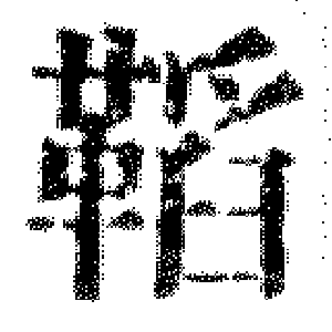 DJT-13196