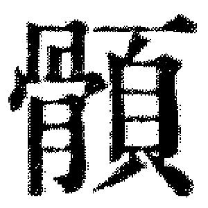 DJT-13397