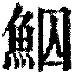 DJT-14133
