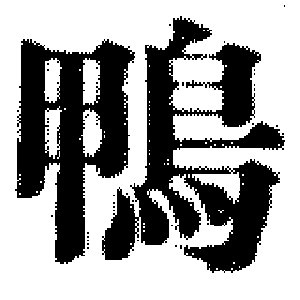 DJT-14431